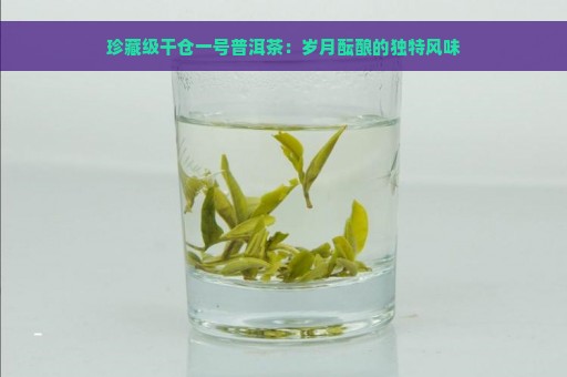 珍藏级干仓一号普洱茶：岁月酝酿的独特风味