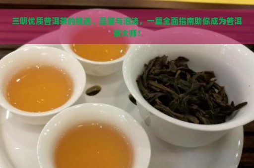 三明优质普洱茶的挑选、品鉴与泡法，一篇全面指南助你成为普洱茶大师！