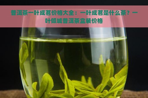 普洱茶一叶成茗价格大全：一叶成茗是什么茶？一叶倾城普洱茶盒装价格