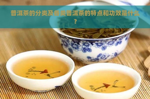 普洱茶的分类及各类普洱茶的特点和功效是什么？