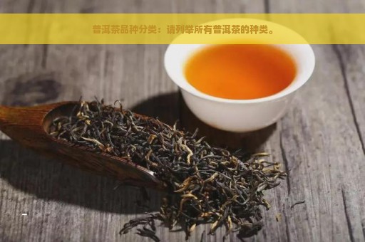 普洱茶品种分类：请列举所有普洱茶的种类。