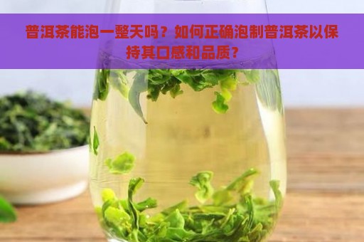 普洱茶能泡一整天吗？如何正确泡制普洱茶以保持其口感和品质？