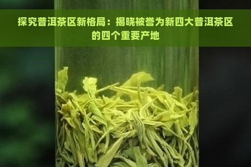 探究普洱茶区新格局：揭晓被誉为新四大普洱茶区的四个重要产地