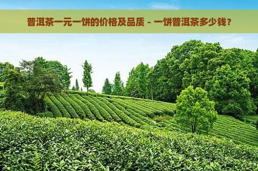 普洱茶一元一饼的价格及品质 - 一饼普洱茶多少钱？