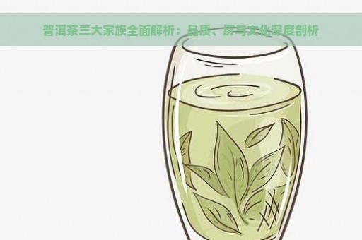 普洱茶三大家族全面解析：品质、历与文化深度剖析