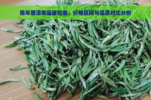 陈年普洱茶品鉴指南：价格区间与品质对比分析