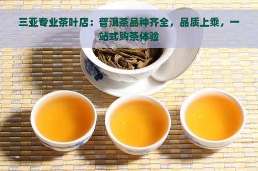 三亚专业茶叶店：普洱茶品种齐全，品质上乘，一站式购茶体验