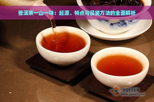 普洱茶一山一味：起源、特点与品鉴方法的全面解析