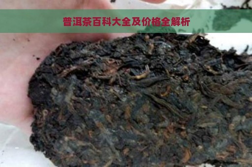 普洱茶百科大全及价格全解析