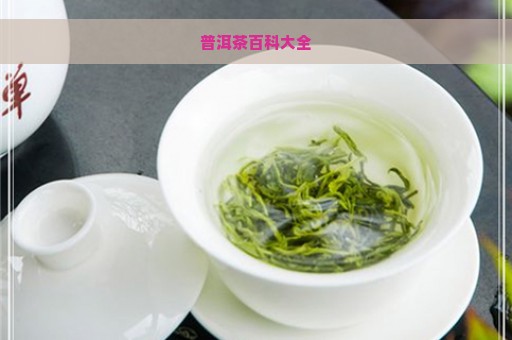 普洱茶百科大全