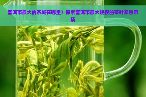 普洱市最大的茶城在哪里？探索普洱市最大规模的茶叶交易市场