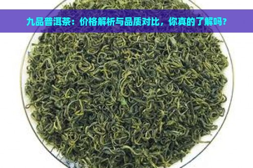 九品普洱茶：价格解析与品质对比，你真的了解吗？