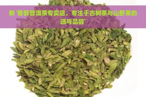 新 '香醇普洱茶专卖店，专注于古树茶与山野茶的选与品尝'