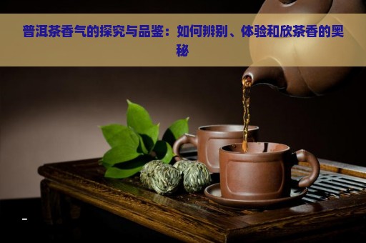 普洱茶香气的探究与品鉴：如何辨别、体验和欣茶香的奥秘