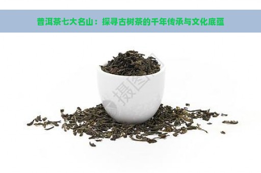 普洱茶七大名山：探寻古树茶的千年传承与文化底蕴