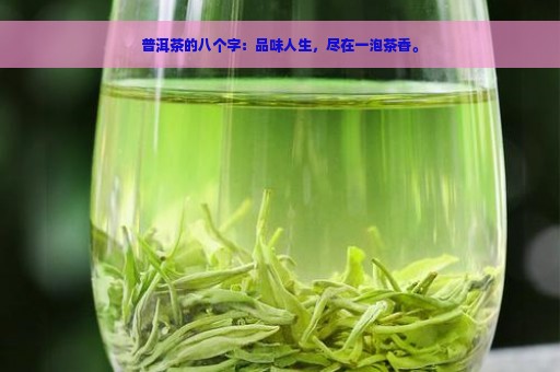 普洱茶的八个字：品味人生，尽在一泡茶香。