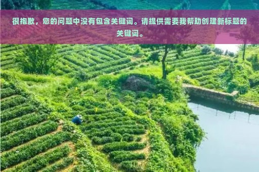 很抱歉，您的问题中没有包含关键词。请提供需要我帮助创建新标题的关键词。