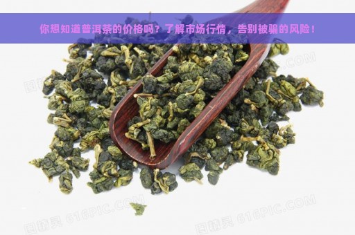 你想知道普洱茶的价格吗？了解市场行情，告别被骗的风险！