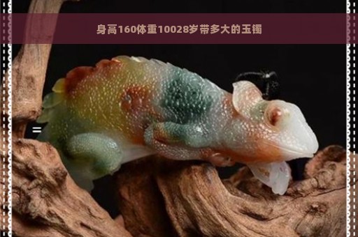 身高160体重10028岁带多大的玉镯