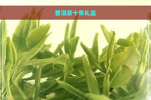 普洱茶十年礼盒