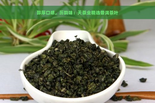 醇厚口感，历韵味：天茶业精选普洱茶叶