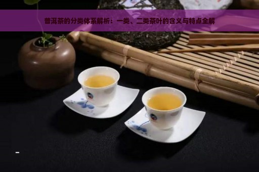 普洱茶的分类体系解析：一类、二类茶叶的含义与特点全解