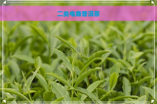 二类电商普洱茶