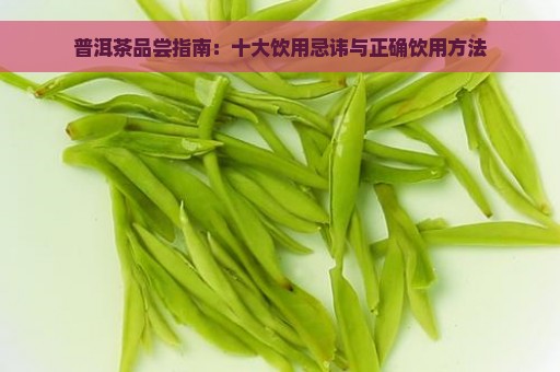 普洱茶品尝指南：十大饮用忌讳与正确饮用方法