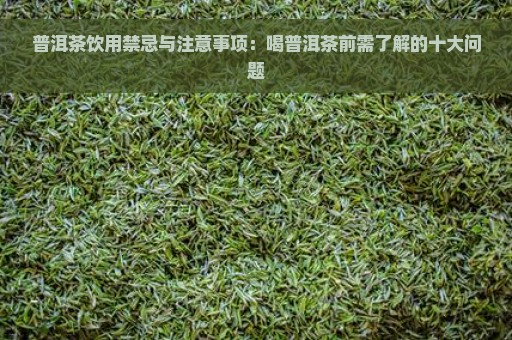 普洱茶饮用禁忌与注意事项：喝普洱茶前需了解的十大问题