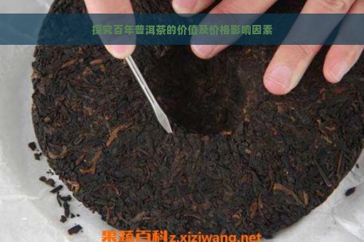 探究百年普洱茶的价值及价格影响因素