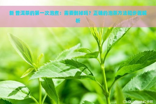 新 普洱茶的第一次泡煮：需要倒掉吗？正确的泡茶方法和步骤解析