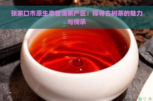 张家口市原生态普洱茶产区：探寻古树茶的魅力与传承