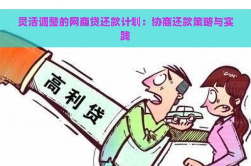 灵活调整的网商贷还款计划：协商还款策略与实践