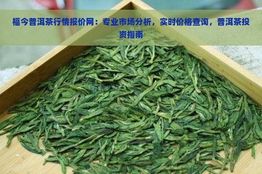 福今普洱茶行情报价网：专业市场分析，实时价格查询，普洱茶投资指南