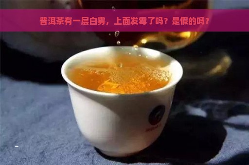 普洱茶有一层白雾，上面发霉了吗？是假的吗？