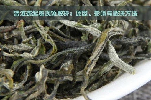 普洱茶起雾现象解析：原因、影响与解决方法