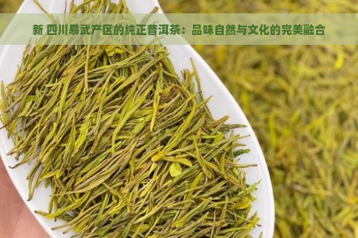 新 四川易武产区的纯正普洱茶：品味自然与文化的完美融合