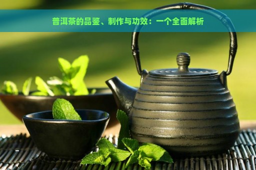 普洱茶的品鉴、制作与功效：一个全面解析