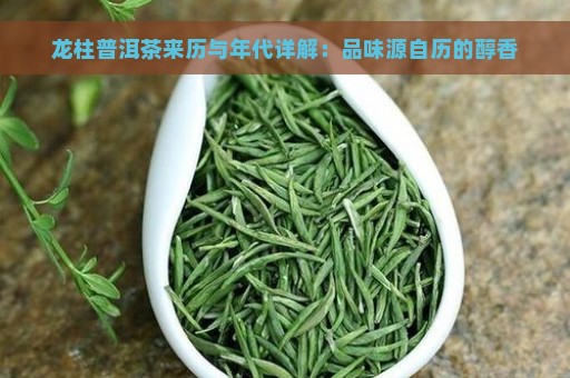 龙柱普洱茶来历与年代详解：品味源自历的醇香