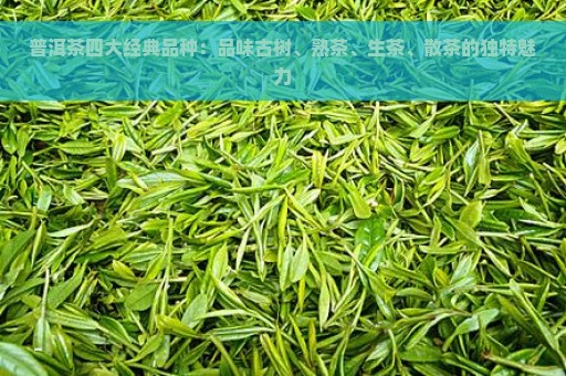 普洱茶四大经典品种：品味古树、熟茶、生茶、散茶的独特魅力