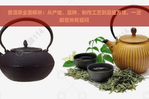 普洱茶全面解析：从产地、品种、制作工艺到品鉴方法，一次解答所有疑问