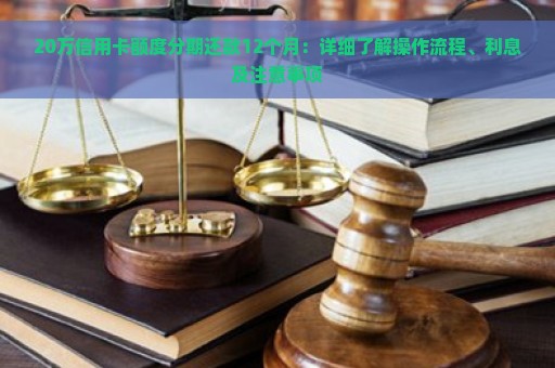 20万信用卡额度分期还款12个月：详细了解操作流程、利息及注意事项