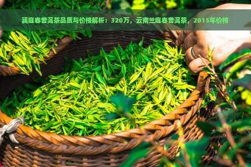 澜庭春普洱茶品质与价格解析：320万，云南兰庭春普洱茶，2015年价格