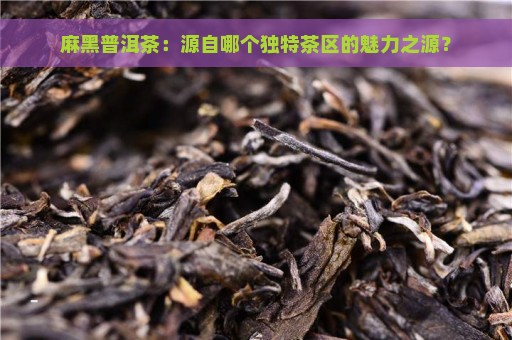 麻黑普洱茶：源自哪个独特茶区的魅力之源？