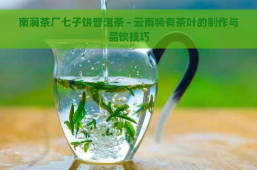 南涧茶厂七子饼普洱茶 - 云南特有茶叶的制作与品饮技巧