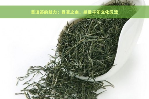 普洱茶的魅力：品茗之余，感受千年文化沉淀