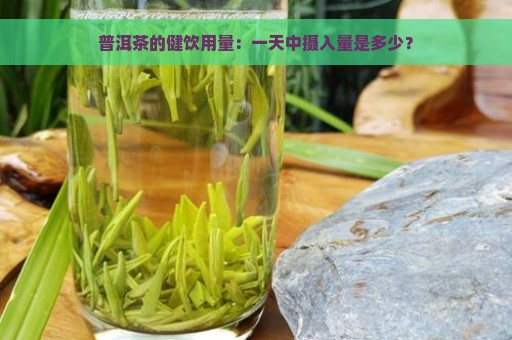 普洱茶的健饮用量：一天中摄入量是多少？