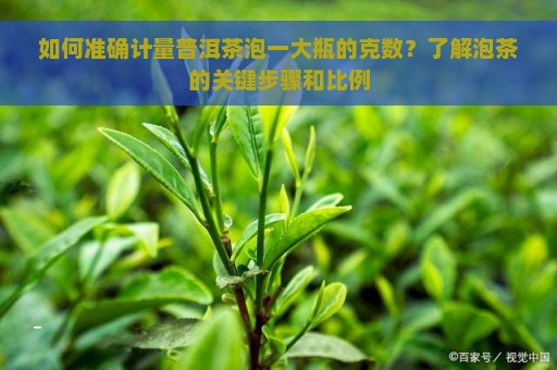 如何准确计量普洱茶泡一大瓶的克数？了解泡茶的关键步骤和比例