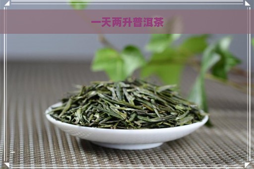 一天两升普洱茶