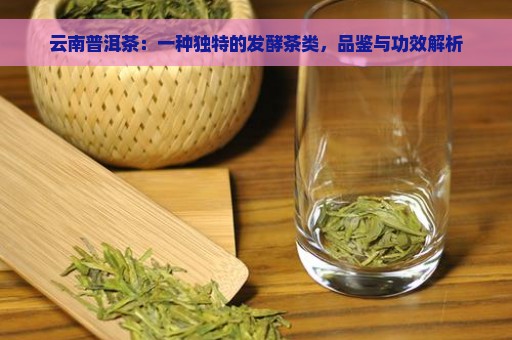 云南普洱茶：一种独特的发酵茶类，品鉴与功效解析